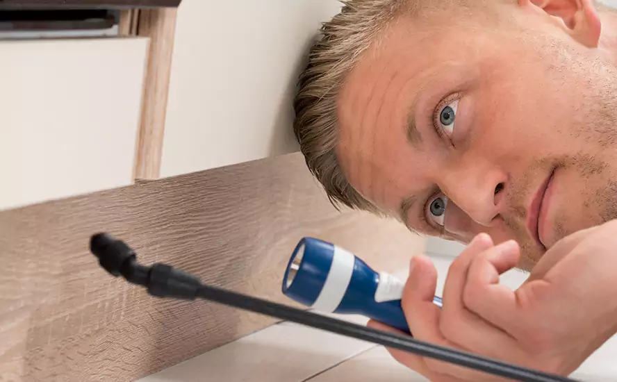 Top-Notch Pest Control in Richardson