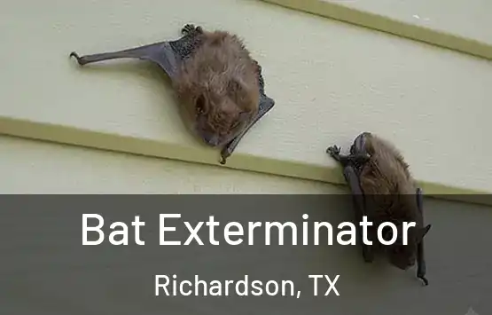 Bat Exterminator Richardson, TX