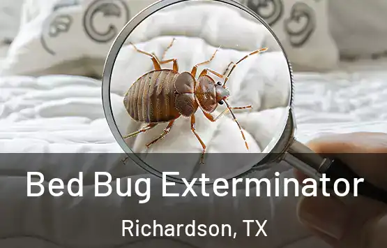  Bed Bug Exterminator Richardson, TX