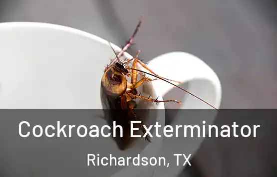  Cockroach Exterminator Richardson, TX