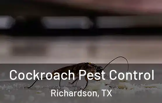  Cockroach Pest Control Richardson, TX