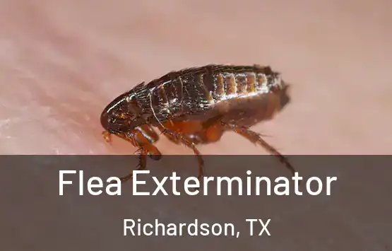  Flea Exterminator Richardson, TX