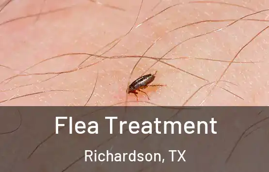  Flea Treatment Richardson, TX
