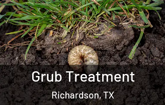  Grub Treatment Richardson, TX