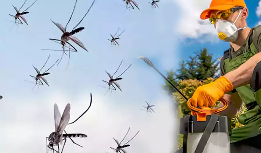 Mosquito Pest Control in Richardson, TX