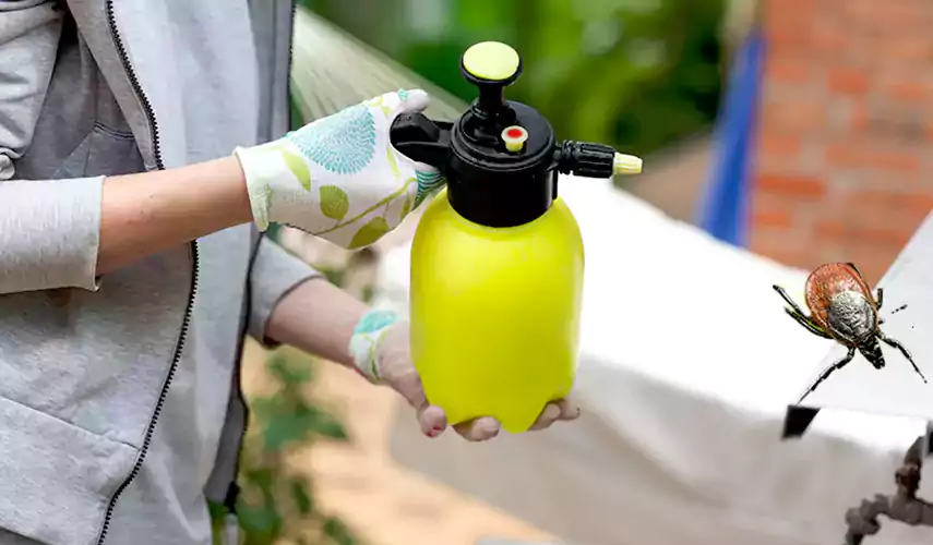 Ticks Pest Control Richardson, Texas