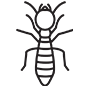 Termites Pest Control Richardson, Texas