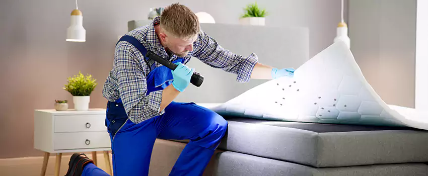 bed-bug-treatment in Richardson, TX