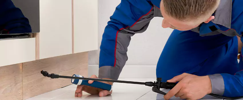 Commercial Pest Control for Offices in Richardson, TX