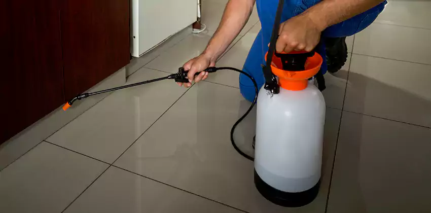 Commercial Pest Extermination for Offices in Richardson, TX