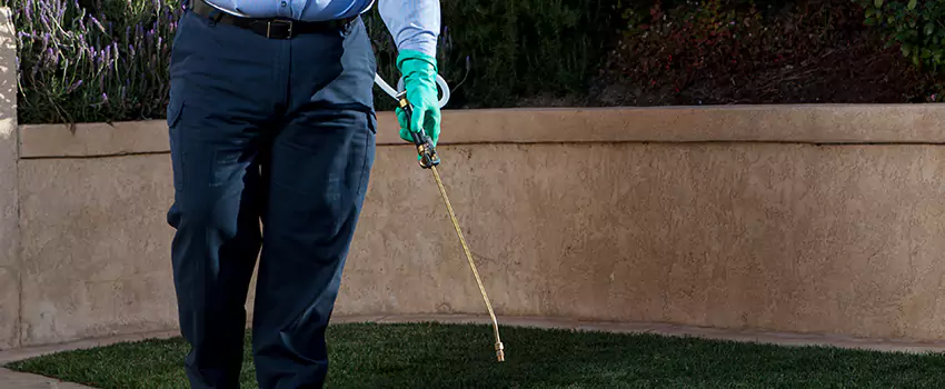 Emergency Pest Extermination for Children and Pets Richardson, TX