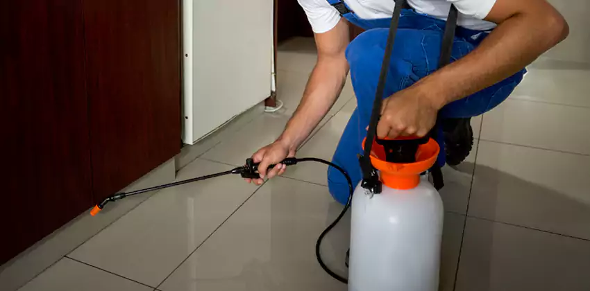 Commercial Flea Exterminator Company in Richardson, TX