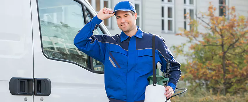 Organic and Chemical Spider Control Options Richardson, TX