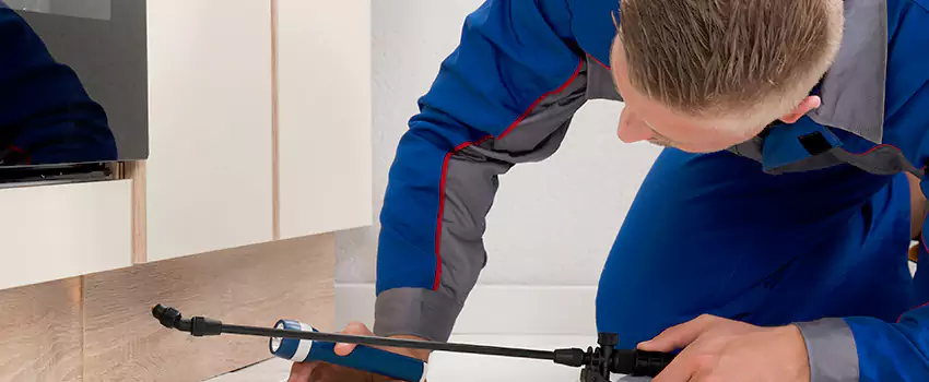 Termite Control for Children and Pets in Richardson, TX