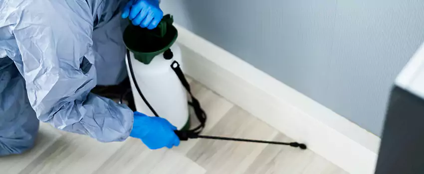 cockroach-exterminator in Richardson, TX