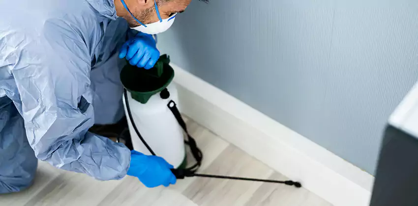 commercial-pest-exterminator in Richardson, TX