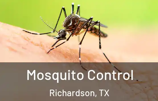  Mosquito Control Richardson, TX