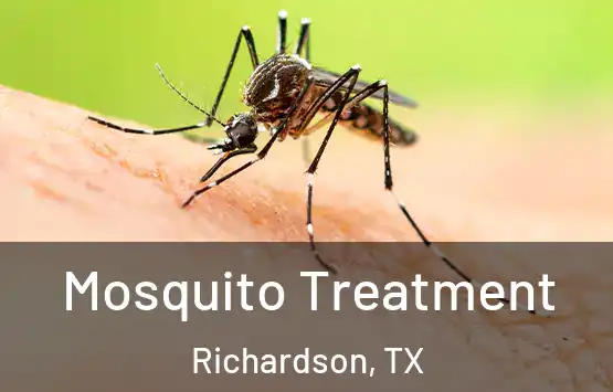  Mosquito Treatment Richardson, TX