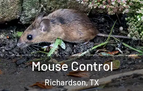  Mouse Control Richardson, TX