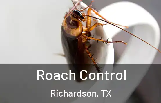  Roach Control Richardson, TX