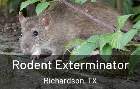  Rodent Exterminator Richardson, TX