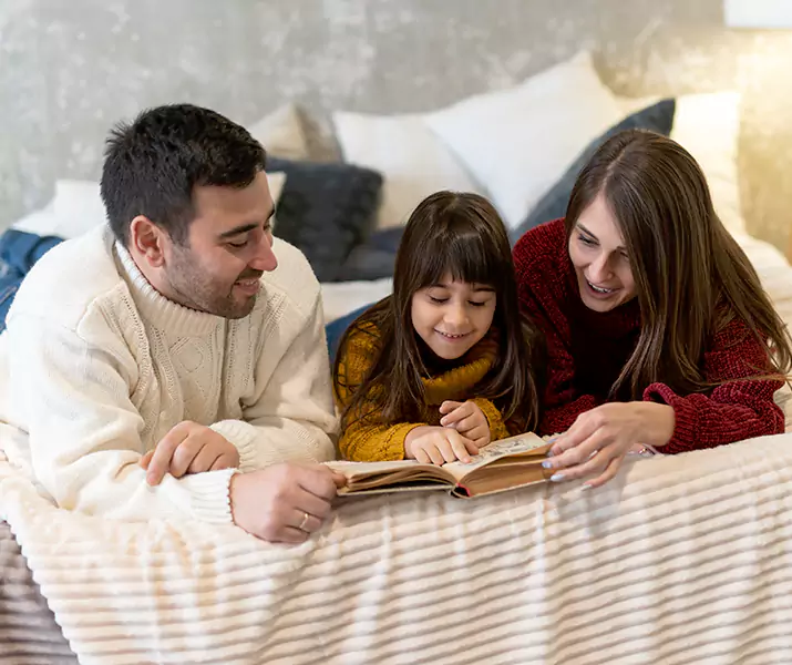 About Bed Bug Pest Control Richardson