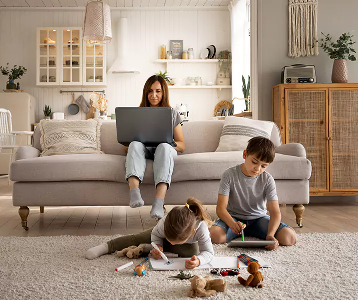 About Mice Control Richardson