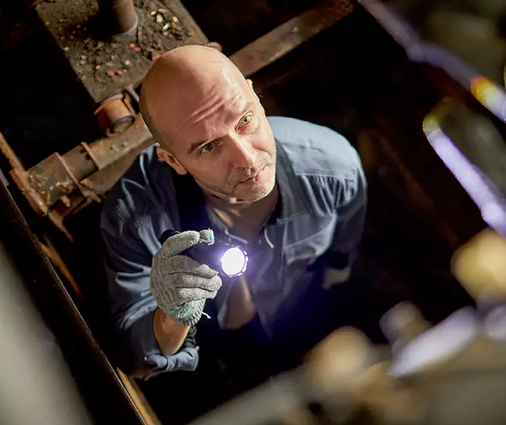 About Pest Inspection Richardson