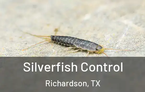  Silverfish Control Richardson, TX