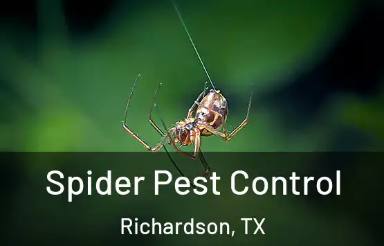  Spider Pest Control Richardson, TX
