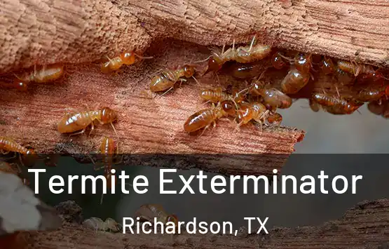  Termite Exterminator Richardson, TX