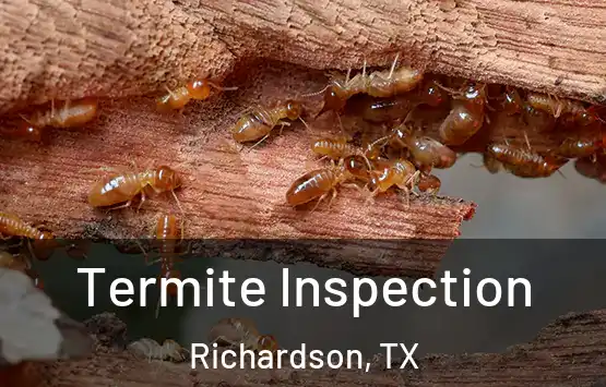  Termite Inspection Richardson, TX
