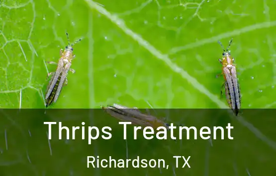  Thrips Treatment Richardson, TX