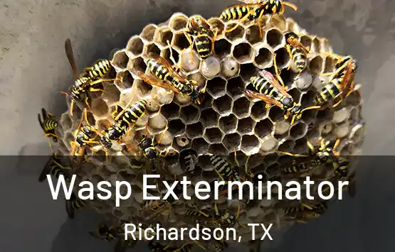  Wasp Exterminator Richardson, TX