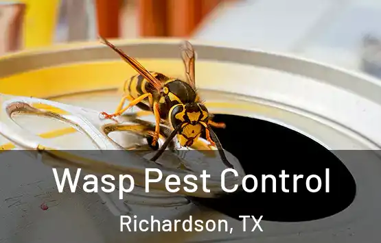  Wasp Pest Control Richardson, TX