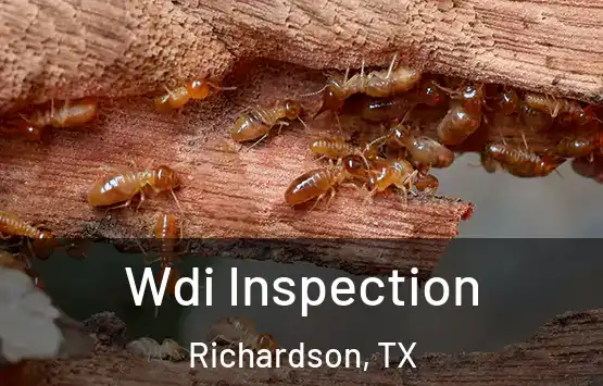  Wdi Inspection Richardson, TX