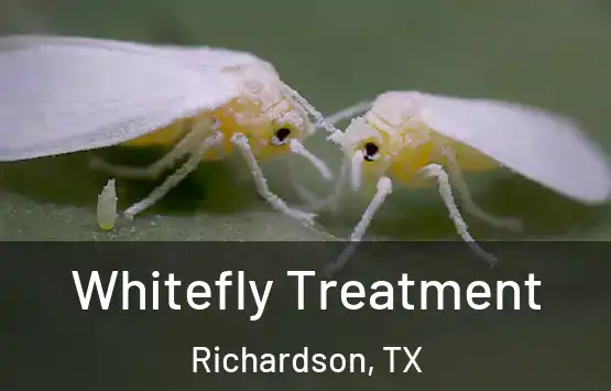  Whitefly Treatment Richardson, TX