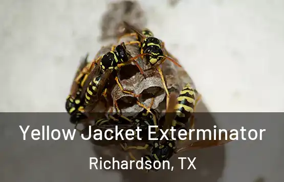  Yellow Jacket Exterminator Richardson, TX